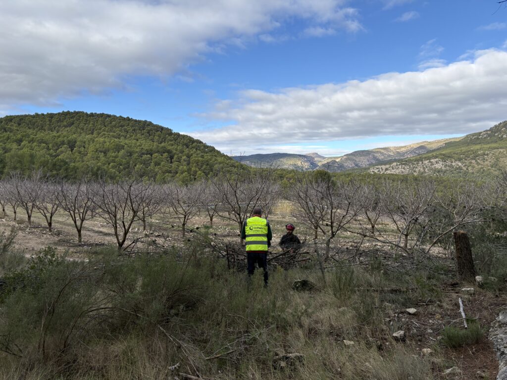 Comienzan los trabajos silvícolas en Moratalla