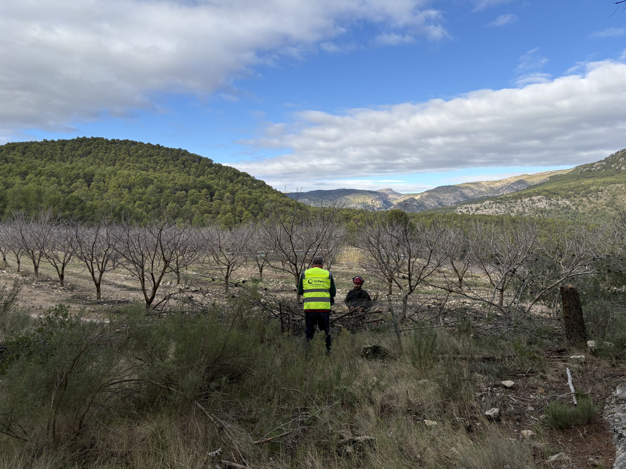 Comienzan los trabajos silvícolas en Moratalla