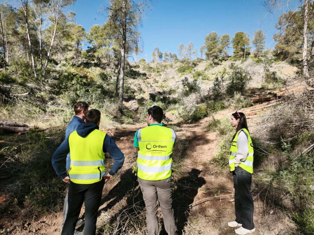 Los montes de Mula y Moratalla se preparan para el mercado de créditos de carbono tras la última revisión de sus masas forestales Los montes de Mula y Moratalla se preparan para el mercado de créditos de carbono tras la última revisión de sus masas forestales