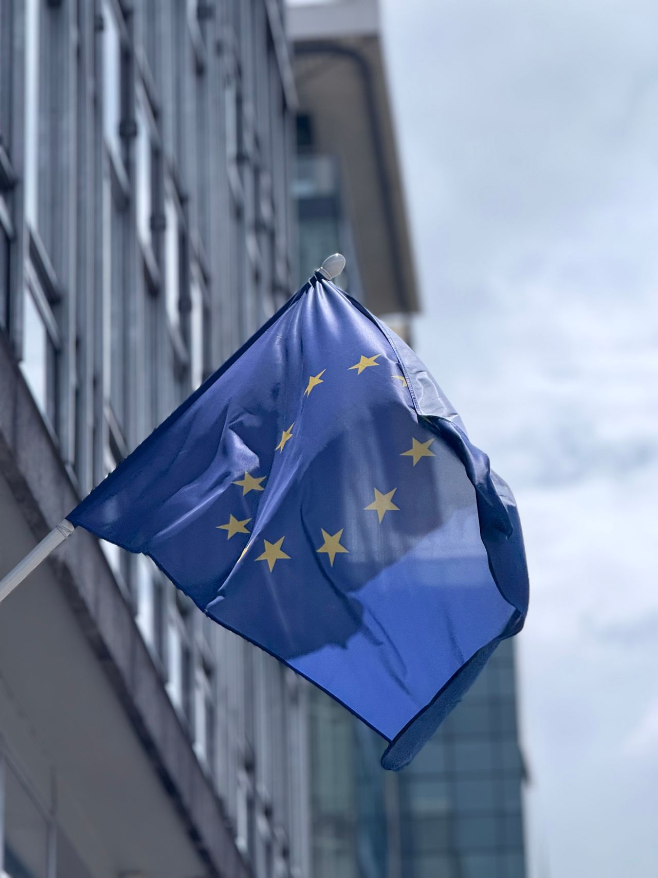 Bruselas acoge la presentación de los avances del proyecto europeo para impulsar la gestión forestal sostenible
